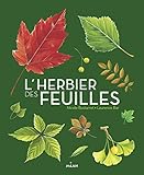 L'herbier des feuilles by 