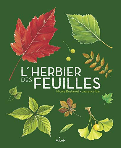 L'herbier des feuilles by 