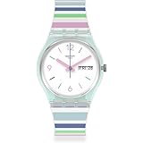 swatch rainbow watch strap