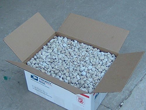 Pumice Cactus Succulent Bonsai - 2.5 gallons