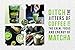 Classic Culinary Matcha Green Tea Powder – 100% Pure Vegan Matcha – USDA Organic Green Powder for Baking, Smoothies, & Matcha Tea Lattes by Matcha Organics, 4oz