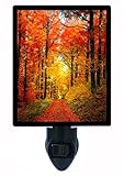 Night Light - Forest Garden - Fall Trees - Autumn Path