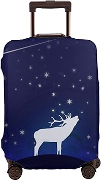 sky bag suitcase cover