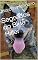 Livro Segredos do Blue Hiller