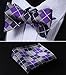 SetSense Men's Plaid Jacquard Woven Self Bow Tie Set One Size Purple/Navy Blue