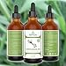 Lemongrass Oil - 100% Pure and Natural - 4 Oz. with Glass Dropper - Therapeutic Grade - Excellent for Aromatherapy, Skin and Hair Care, and Massage by Essential Oil Labs