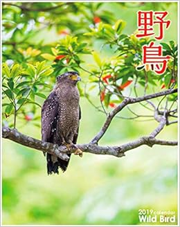 Amazon Co Jp 19年 野鳥カレンダー 専用アプリar動画機能付 全国の野鳥写真家 本
