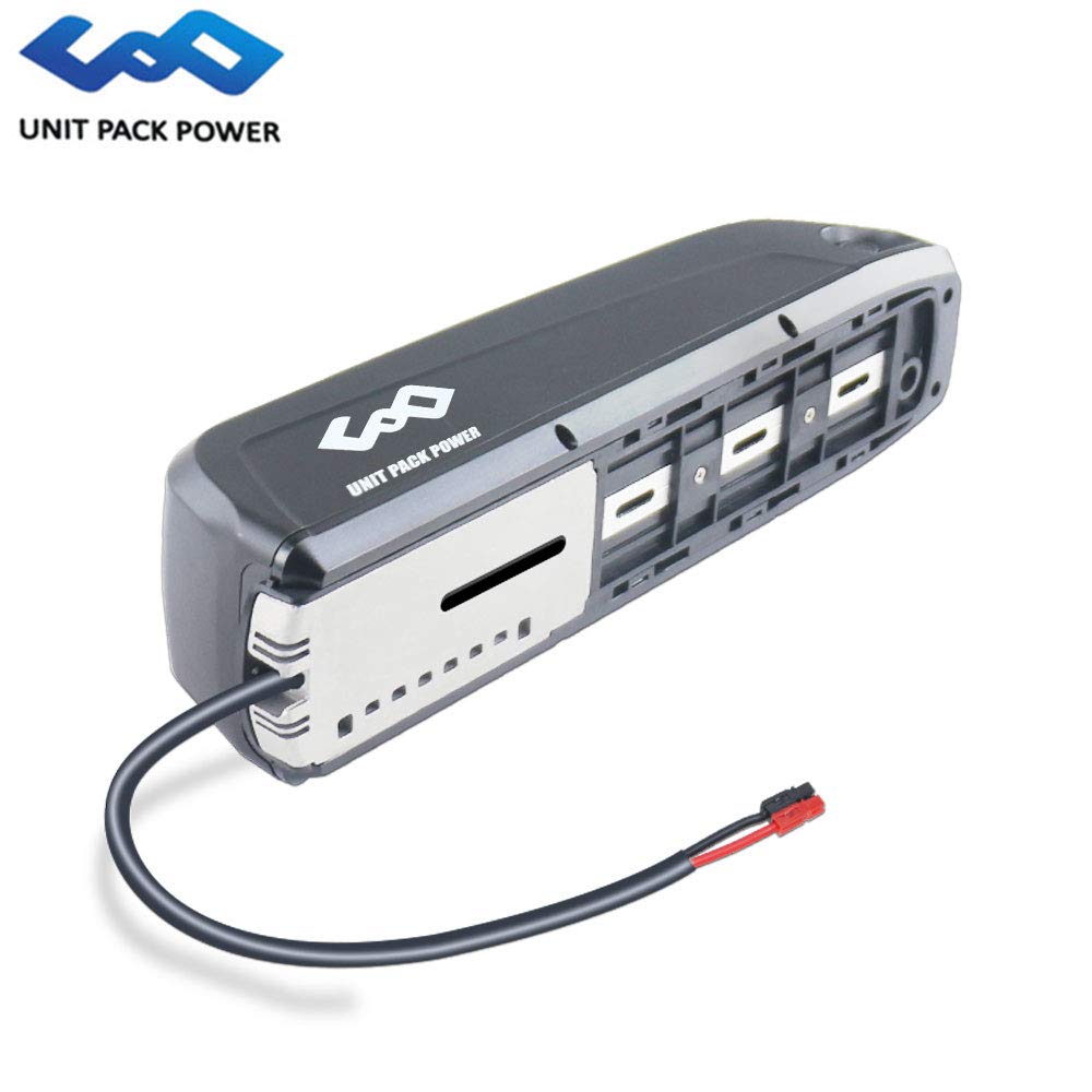 battery for 48v 1000w motor