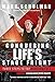 Conquering Life's Stage Fright: Three Steps to Top Performance - Book by Mark Schulman