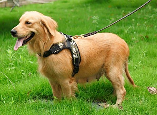 Best Front Range Service Dog Harness. 3M Reflective Outdoor Adventure Pet Vest with Handle (X-Large, Black)