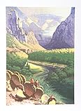 Valley of the Virgin Run