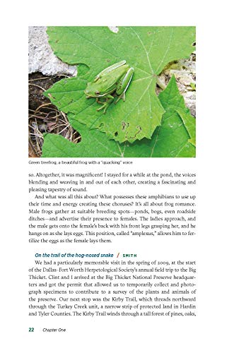 image for Texas A&M University Press Herping Texas: The Quest for Reptiles and A