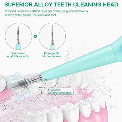 Electric Calculus Remover Tartar Scraper Tartar Plaque Remover High-Frequency Vibration Portable Dental Calculus Remover with 3 Cleaning Tips