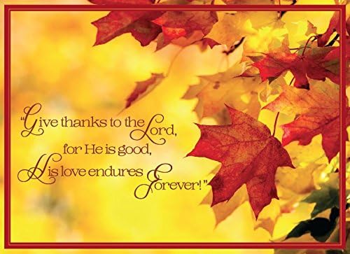 ZilloMart Christian Thanksgiving Greeting Card TH1611. The Message Throughout Gives Thanks For the Season and Honors God For His Boundless Blessings. Boxed Set of 25 Cards and 26 Foil-Lined Envelopes.