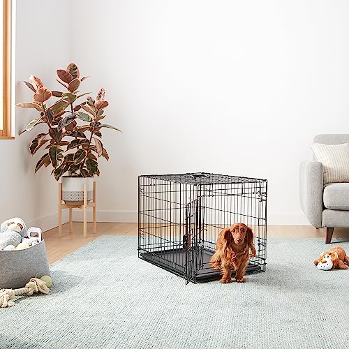 AMAZON BASICS PORTABLE, FOLDABLE METAL WIRE DOG CRATE WITH REMOVABLE TRAY, SINGLE DOOR, DIVIDER PANEL, QUICK SETUP, 30 X 19 X 21 IN, BLACK
