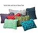 Therm-a-Rest Compressible Travel Pillow for Camping, Backpacking, Airplanes and Road Trips, Bluebird, Small - 12 x 16 Inches