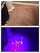 Lifepul(TM) Ultra Bright 100 LED UV Blacklight Pet Urine Detector Finder, Ultraviolet Handheld Flashlight for Detecting Dog Pee / Body Fluids / Bed Bugs, Inspecting Money, Passports, Freon Leaks