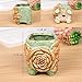 ROSE CREATE 6 Pcs 2.75 Inches Mini Ceramic Succulent Plant Pots (Green)