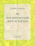 Une promenade dans le Sahara (French Edition) by Charles Lagarde, Ligaran