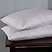 puredown® Lumbar Pillow Inserts 12 x 20 (Pack of 2, White), Filled with Feather and Down, Decorative Pillows for Couch, Home Decor