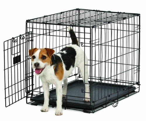 MidWest Homes for Pets Life Stages ACE Dog Crate, 24-Inch