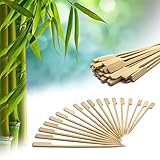 Bamboo Picks Paddle Skewers Cotail Picks 3.5 Inch Set of 200 (3.5