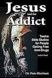 Jesus and the Addict: Twelve Bible Studies for People Getting Free from Drugs by Dr. Pam Morrison
