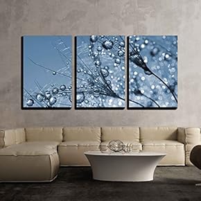 3 Piece Canvas Wall Art - Dewy Dandelion Flower Close Up - Modern Home Art Stretched and Framed Ready to Hang - 16"x24"x3 Panels