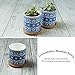 Greenaholics Succulent Plant Pots - 3 Inch Small Ceramic Flower Planter Indoor with Drainage Hole and Bamboo Saucer for Medium Succulents or Mini Cactus - Mandala Blue and White Set of 2