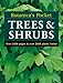 Trees & Shrubs (Botanica's Pocket) by HF Ullmann