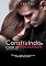 Livro Construindo a Felicidade (Série Construindo Livro 4)
