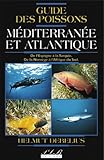 Méditerranée atlantique by 