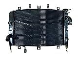 KAWASAKI 2003 2004 NINJA ZX6R ZX636 / ZX6RR ZX600 OEM REPLACEMENT RADIATOR (NEW)