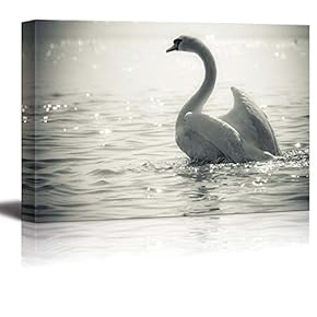 Canvas Prints Wall Art - Graceful Swan on a Lake in Black and White | Modern Wall Decor/Home Decoration Stretched Gallery Canvas Wrap Giclee Print. Ready to Hang - 12" x 18"
