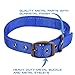 Max and Neo MAX Reflective Metal Buckle Dog Collar - We Donate a Collar to a Dog Rescue for Every Collar Sold (Small, Blue)