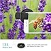 2 in 1 Mobile Phone Lens Kit 0.5X Super Wide Angle Lens & 13X Macro Lens, Clip on Cell Phone Camera， Professional HD Camera Lens for iPhone 7/6s/6/5s, Most Smartphones & iPad