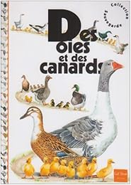 Des  oies et des canards