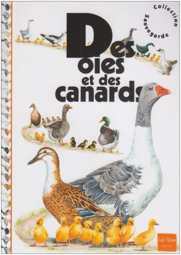 Des  oies et des canards