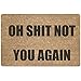 ChezMax Doormat Non-Slip Door Mat Waterproof Funny Rugs Indoor Outdoor Carpet Universal Welcome Mat Front Door Mud Absorbent for Floor Entrance Entryway