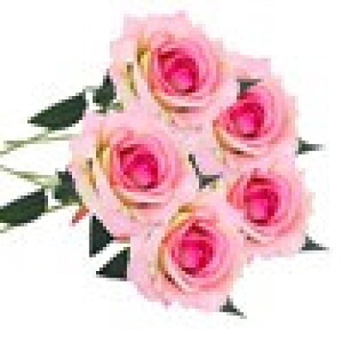 AIMTOPPY 5 Pcs Artificial Silk Fake Flowers Rose Flower Wedding Bouquet Party Home Decor (pink) - Thumbnail 3