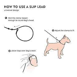 BeauGo Slip Leads for Dogs,Thin Slip Lead,Dog
