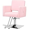 Artist hand Pink Salon Chair for Hair Stylist with Back Cover, Hydraulic Hair Chair 360 Swivel Barber Chair, Beauty Salon Equipment for Hair Stylist Women, Max Load Weight 330 Lbs