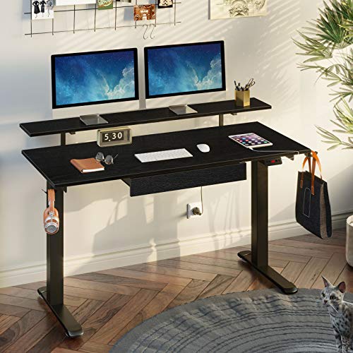 Rolanstar Standing Desk Dual Motor with USB Charging Ports, 47