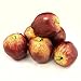 ALEKO 6AFDAP Decorative Realistic Artificial Fruits - Package of 6 Delicious Apples