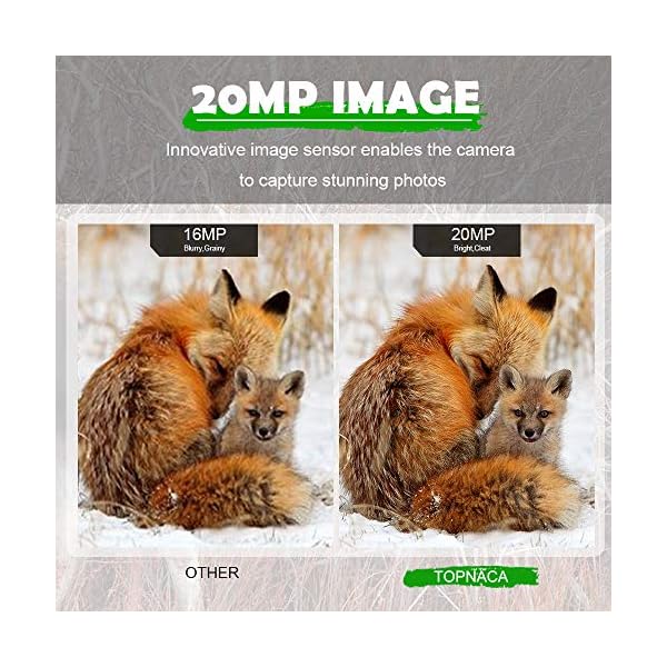 Topnaca 4K Wildkamera 20MP Jagdkamera, Überwachungskamera mit Nachtsicht, wasserdichte Aufklärungskamera mit 0,2s… – Bild 4