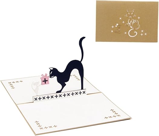 Biglietto Di Auguri Di Compleanno Per Laurea Con Gatto E Topo In 3d Amazon It Casa E Cucina