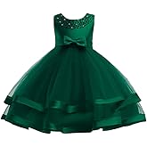 NSSMWTTC 3M-9T Baby Pageant Dress Toddler Girls Tutu Gown Flower Wedding Dresses