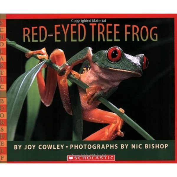 Red Eyed Tree Frog Scholastic Bookshelf Cowley Joy Bishop Nic 9780439782210 Amazon Com Books