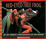 Red-Eyed Tree Frog