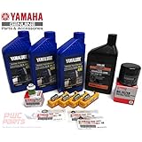 YAMAHA OEM 2006+ F50 T50 F60 T60 Outboard Oil Change 10W30 FC 4M Lower Unit Gear Lube Drain Fill Gaskets Fuel Filter Spark Plugs NGK DPR6EB-9 Maintenance Kit